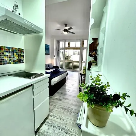 Apartman Palmeras 102